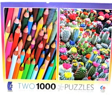 Ceaco 2 in 1 Puzzles 1000PCS Colored Pencils Blooming Cactus Colorful New