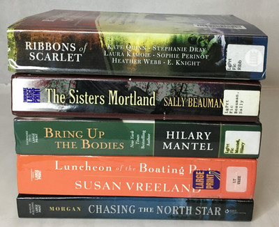 Historical Fiction LARGE PRINT Lot of 5 - Beauman Mantel Vreeland Morgan