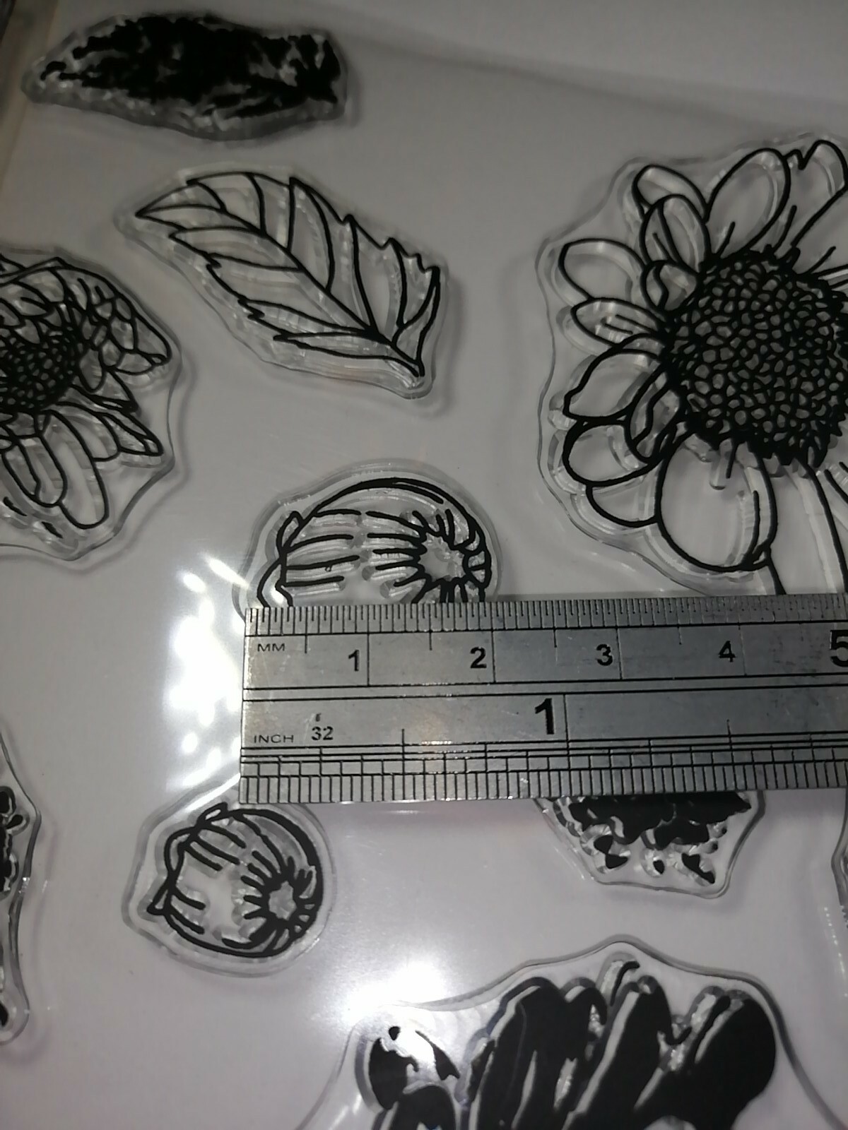 Picture 11 of 12