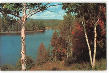 Postcard Crystal Clear Lake in nice nature scenic view VTG ME8.