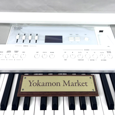 Buy Kawai ES920 Electronic Keyboard - Black online | eBay