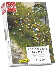 Summer Flowers Set