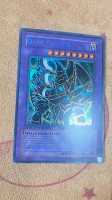 🔥 YUGIOH Dark Paladin DMG-001 LIMITED EDITION SECRET RARE