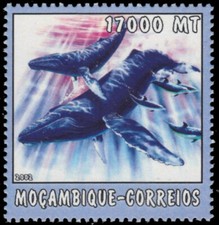 MOZAMBIQUE 1652b - Humpback Whale (pb40398)