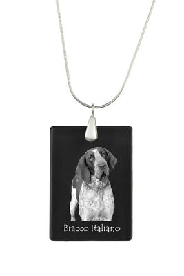 Italian Pointer, Bracco Italiano - Crystal Pendant With Dog, Silver
