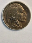 1913-D Type 1 Buffalo Nickel