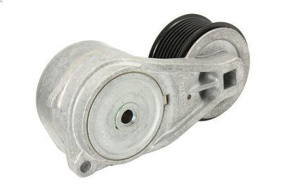 Tensioner Lever, V-ribbed bel DAYCO APV1052 for SCANIA T 15.607 2004-2005