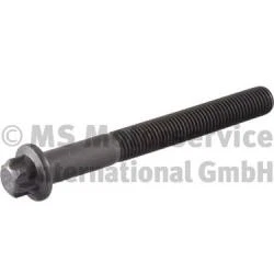 BF Vis de culasse RENAULT TRUCKS BREDAMENARINIBUS OTOKAR 7,1 4,8 04900633 DXi5 - Photo 1/1