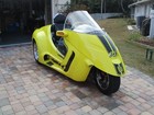 2009 Thoroughbred Stallion 