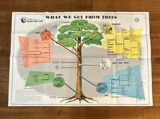 Smokey the Bear Poster Vtg 70s What We Get From Trees U.S. Government 1978 27x40