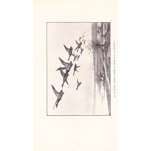 La SAUVAGINE en FRANCE par Louis TERNIER Oiseaux de mer & de marais 1897 RARE - Picture 5 of 11