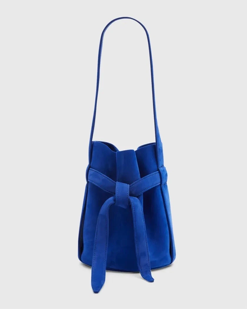 The row mini bag hot sale