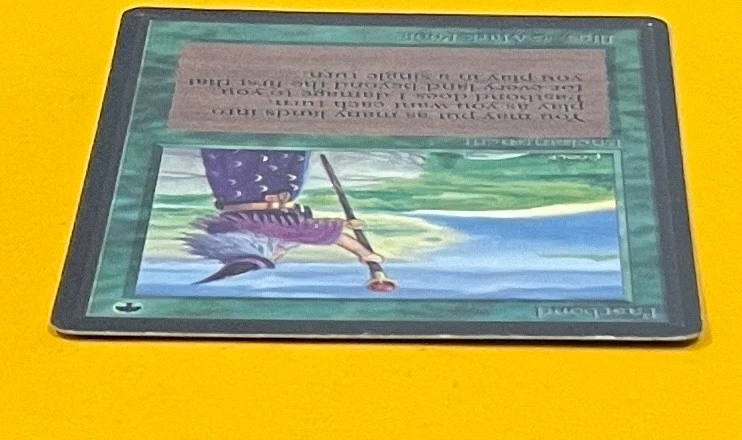 MTG FASTBOND Beta (OldManMTG 012-541) - Image 3 of 4