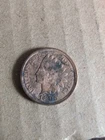 1895 indian head penny