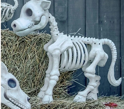 #ad Red Shed Large Cow Skeleton Halloween Decoration Tractor Supply NEW SEALED $79.99