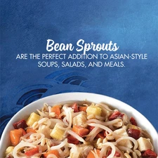 La Choy Bean Sprouts Can Crunchy Asian Style Canned Vegetables 14oz