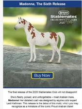 Breyer Madonna 2025 Stablemates Club Fleabitten Gray Arabian Mare *** PRESALE **