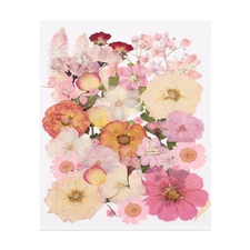 39 Pcs Dried Pressed Flower Leaves Bulk for Resin, Pink Green