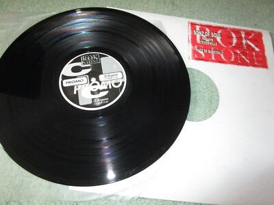Sonz Of Soul Featuring Steven Ville   Race Of Survival PROMO Vinyl 12inch Single
