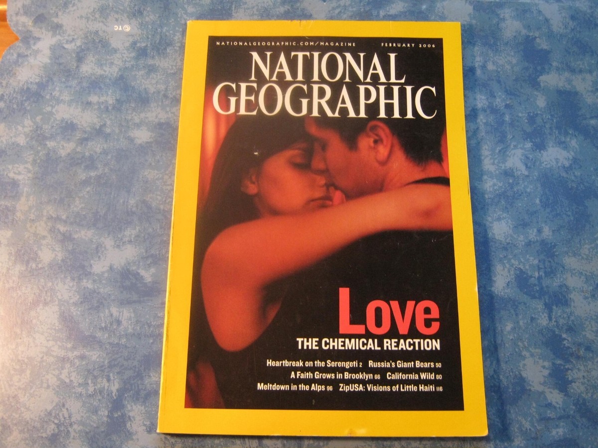 Little Bear 96 Novel - Câu chuyện đầy cảm hứng về tình bạn và trưởng thành