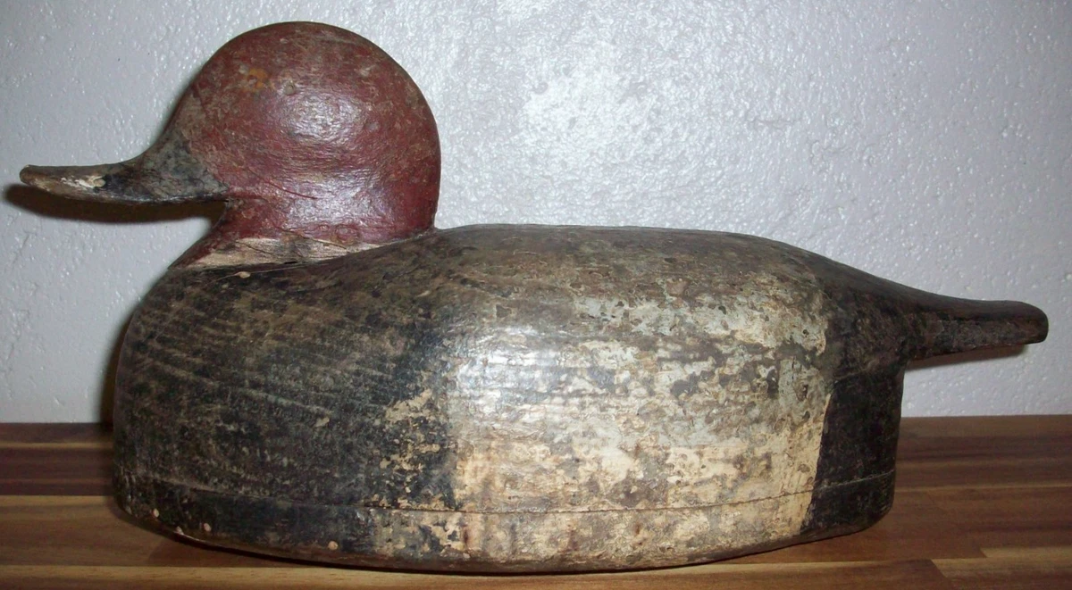 ANCIEN POMMEAU DE Canne , bois de cervidé , corne , Souvenir de Chasse