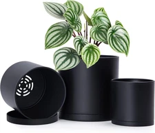 D'Vine Dev 4 Inch 5 Inch 6 Inch, Set of 3 Plastic Planter Pots for Plants