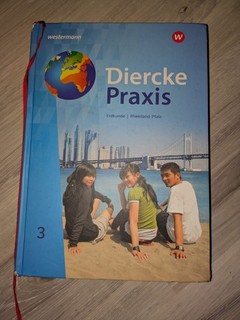 Diercke Praxis SI Arbeits und Lernbuch Ausgabe 2022 Pfalz: Schülerband 3