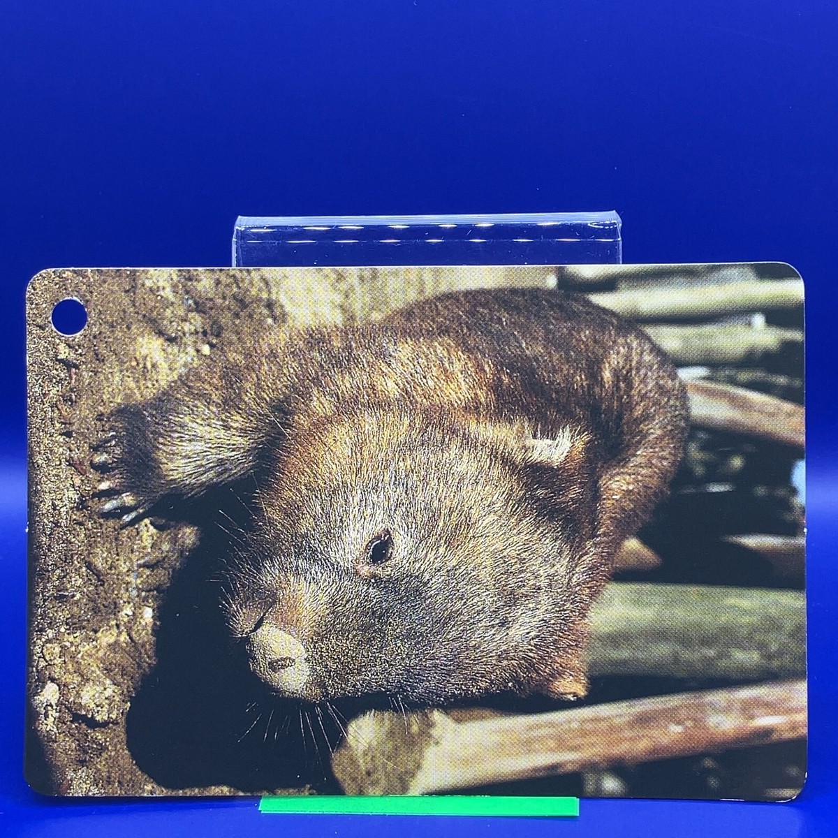 aruchan様 【NO.14】動物　ハートカード　開くタイプ Animal Card 4.25 x 2.75 Inch Made in Japan Japanese JP #14 | eBay