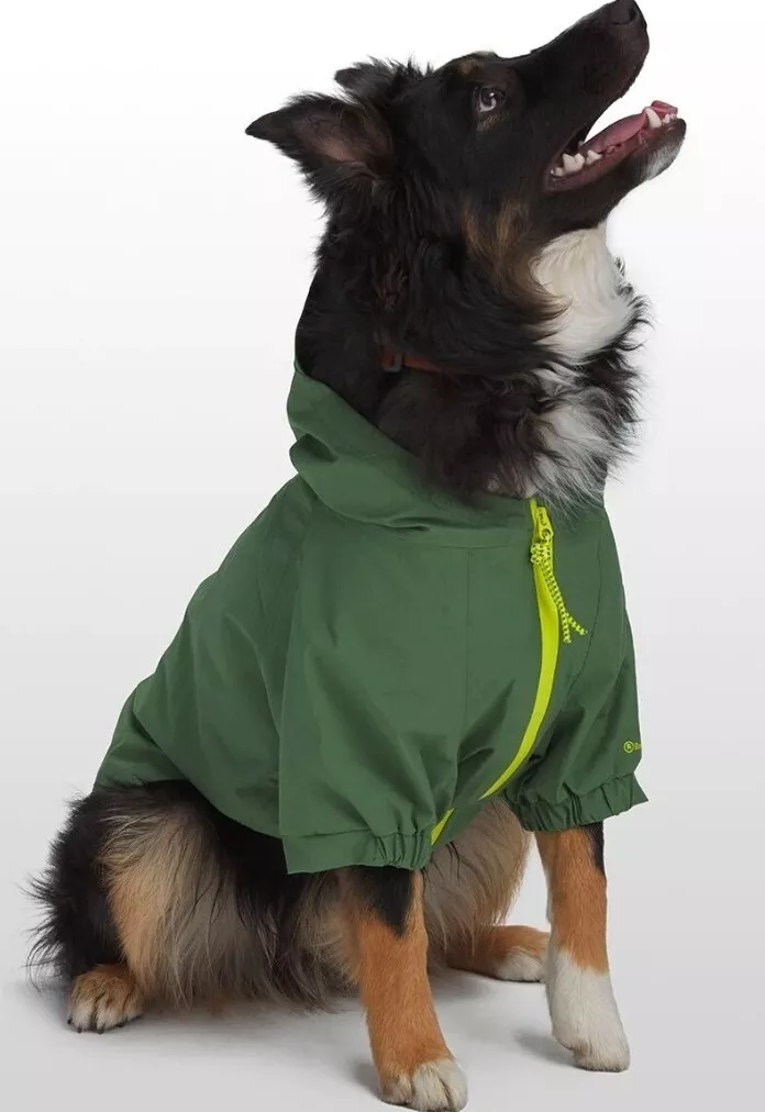 Dog rain boots petco sale