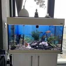 Quality Aquarium - Complete