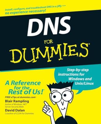 Rampling - DNS für Dummies - neues Taschenbuch oder Softback - T555z