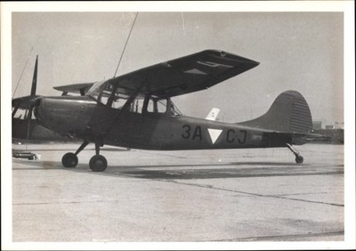 Foto Amerikanisches Flugzeug, Cessna Bird Dog, 3A CJ - 3834835