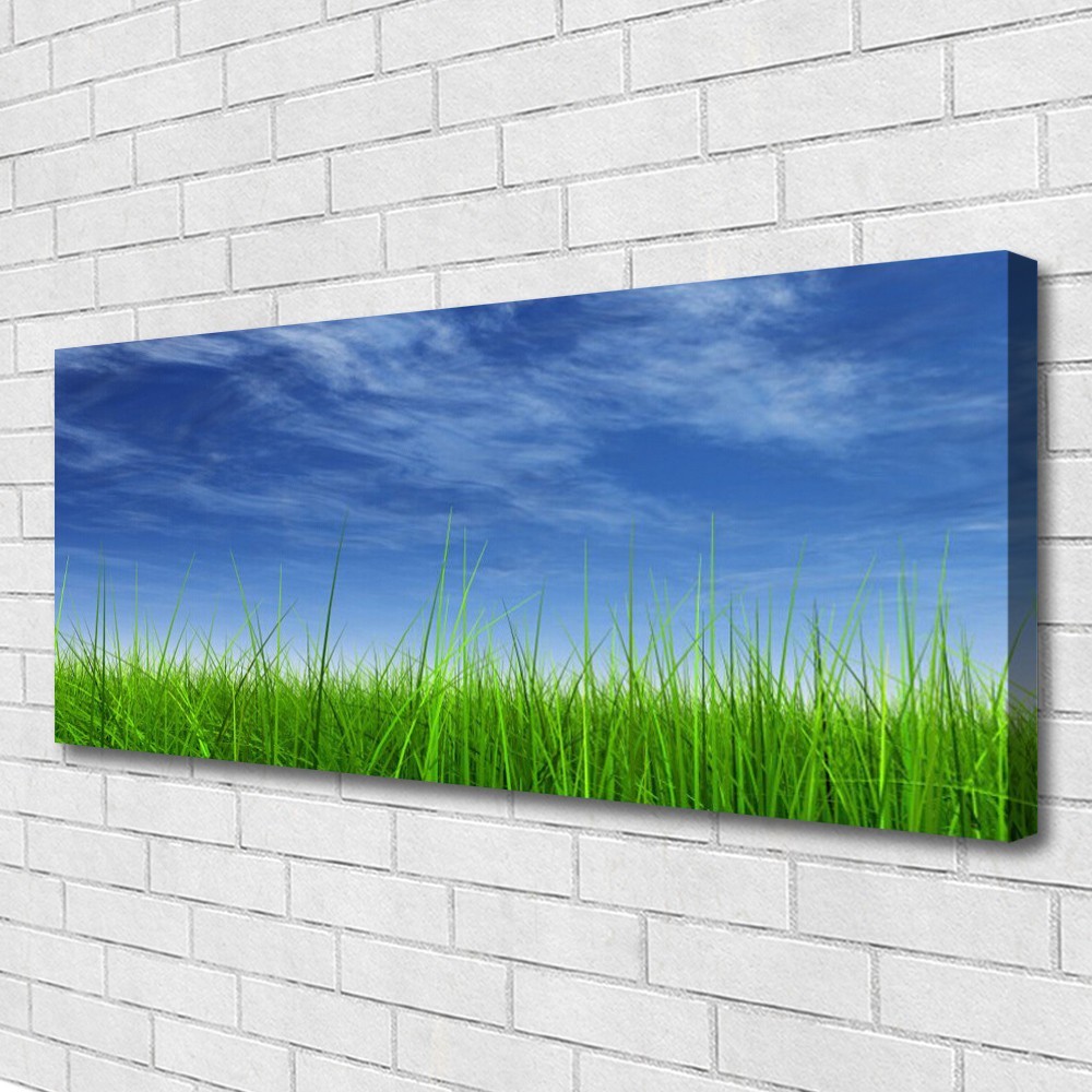 Impression sur toile haut de gamme paysage nature ciel vert 125x50 cm