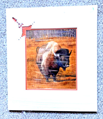 Don Marco ''Master of the Crayon'' Matted Print Bison  14 x 16