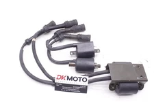 1996 Yamaha Royal Star Xvz1300at Oem Ignition Coils Set  R12.BX10