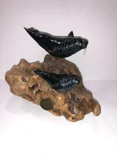 John Perry Pair of Walrus on Burl Wood Base 2015 Signed by artist  VGC