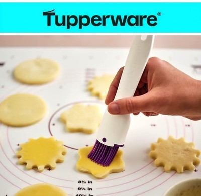 Tupperware  Pinsel SİLİKON  Backpinsel Maler-Meister * Neu!