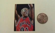 Dennis Rodman Chicago Bulls Head Shot HOG Mini Oddball