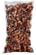 250 Small Mini Pine Cones