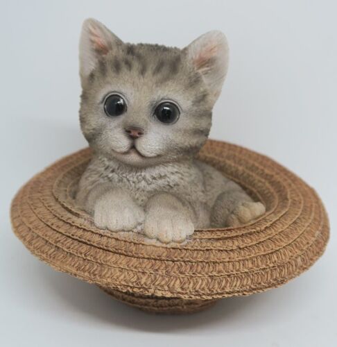 GREY TABBY CAT MEMORAIL IN A HAT MONEY BOX ANIMAL GARDEN STATUE ORNAMENT  GIFT - Picture 1 of 5