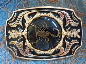 scorpion buckles