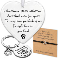 Pet Memorial Ornament Gifts for Dogs, Cats, Loss of Dog Sympathy Card, Memorial