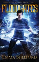 Floodgates Emma Shelford Taschenbuch Kartoniert / Broschiert Englisch 2018