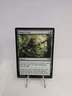 MTG Nature's Lore Dominaria Remastere DMR 170/261 Magic The Gathering Land Ramp