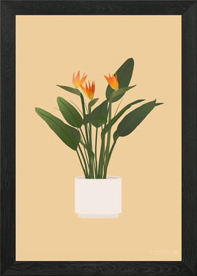 Paradiesvogel Pflanze Gerahmtes Wandbild Poster Leinwanddruck Bild