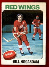1975-76 O-Pee-Chee #67 Bill Hogaboam VGEX