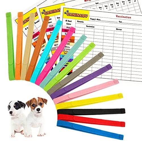 Collars for hot sale litter of puppies