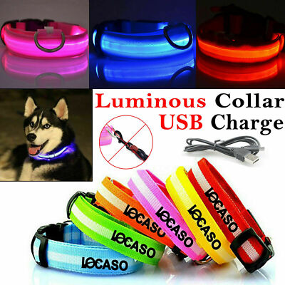 USB Rechargable LED Dog Pet Collar Flashing Luminous Safety Light Up Nylon New