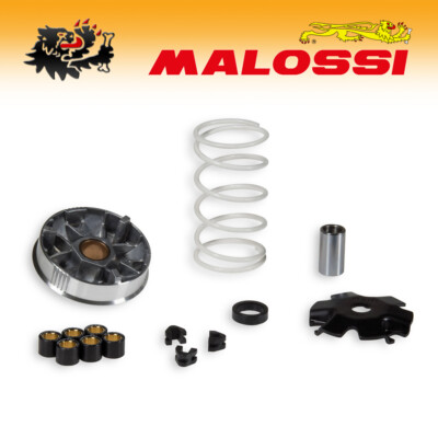 517484 [MALOSSI] Variator Multivar - Honda Dio Zx 50 2T/Kymco Heldentum 50 2T