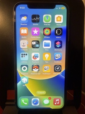 Jailbroken Ios 16.5 iphone xs 256gb unlocked  Gray  Pokemon Go Hack Read   !!!